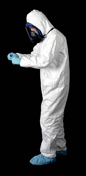 Professional Mold Removal in Grover, WY